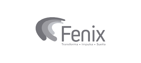 logo gris_fenix